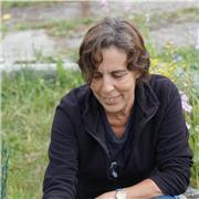Profesora de matemáticas (matemática discreta, análisis matemático, álgebra, estadística) 1º carrera. Clases on line